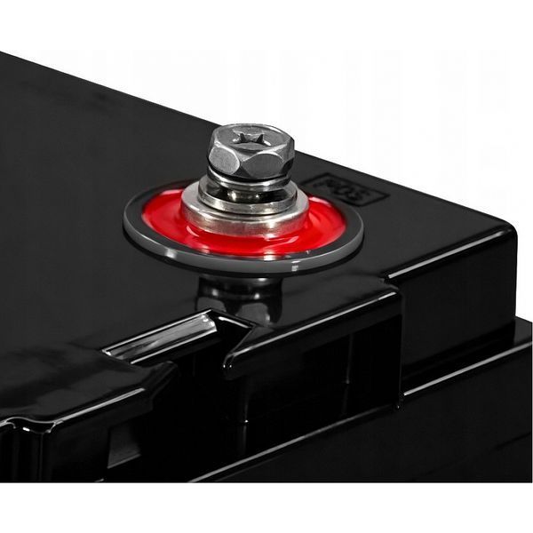 LiFePO4 акумулятор Ameisentech A121 12V 100Ah BMS 100A 1280Wh 17193 фото
