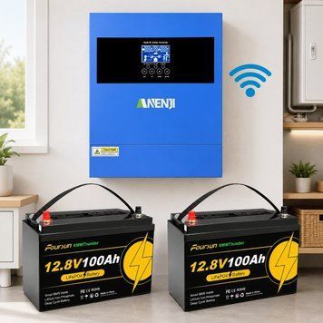 4.2 кВт LiFePO4 Комплект резервного живлення Інвертор Anenji WiFi 24 В + 2 акумулятора 12V 100Ah Foursun 30917 фото
