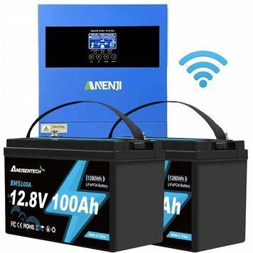 Комплект резервного живлення Anenji + Ameisentech 4,2 кВт 24 В з Wi-Fi та 2 LiFePO4 акумуляторами 12,8 В 100 Ah 17225 фото