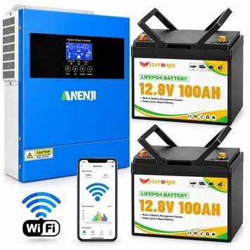 Комплект резервного живлення Anenji ANJ-4000W-24V Wi-Fi 4,2 кВт + 2 акумулятори FLYFOREE LiFePO4 12,8 В 100 А&middot;год (2,56 кВт&middot;год) 30967 фото