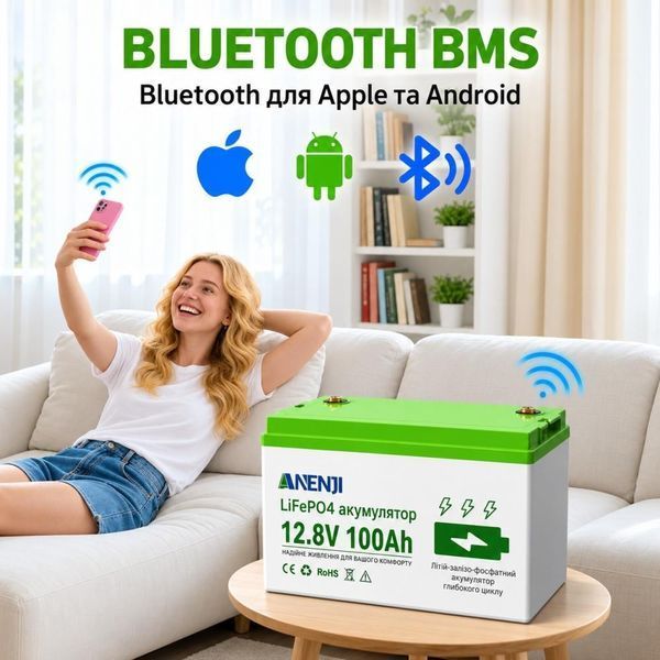 4,2 кВт LiFePO4 Комплект резервного живлення Інвертор Anenji WiFi + 2 акумулятори 12V 100Ah Bluetooth для квартири 30936 фото