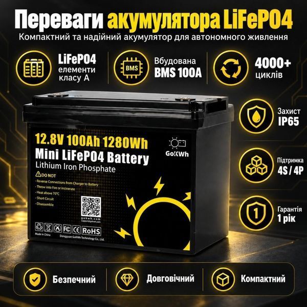 3,5 кВт LiFePO4 Комплект резервного живлення інвертор Daxtromn Power EOH-3.5KW + 2 Акумулятори 12V/100Ah GoKWh 30940 30940 фото